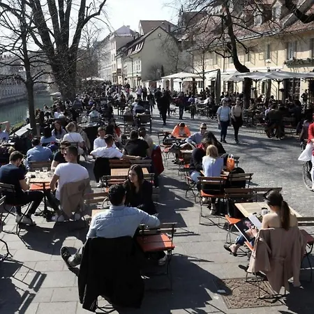 Renovated City Center Apt End Of Sept 23 Apartment *