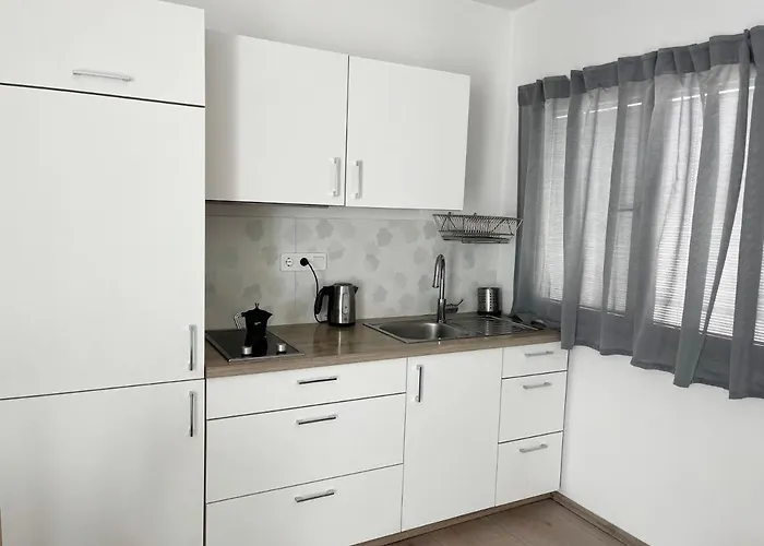 Renovated City Center Apt End Of Sept 23 Apartamento Liubliana