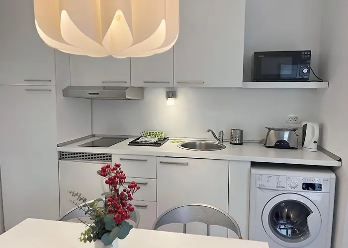 Apartment Renovated City Center Apt End Of Sept 23